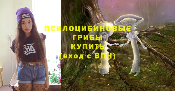 бошки Лиски
