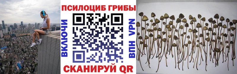 Купить  Горбатов  Галлюциногенные грибы мухоморы 